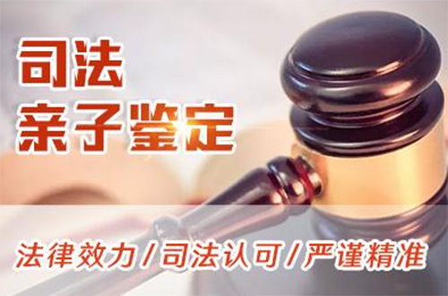 内蒙古司法亲子鉴定如何做,内蒙古司法亲子鉴定大概多少钱