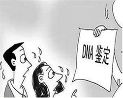 内蒙古亲子鉴定中心在哪里，内蒙古DNA亲子鉴定收费标准
